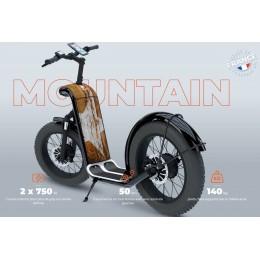 Trottinette électrique tout terrain ZOSH-Mountain Surfer
