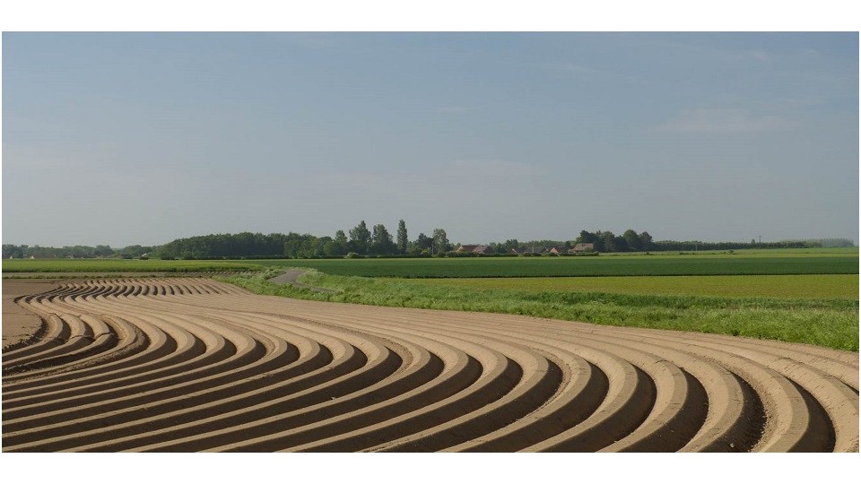 Travail du sol