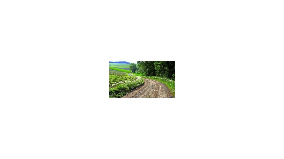 Micro tracteur