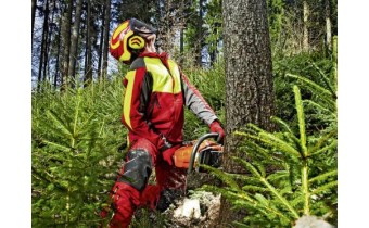 Élagueur portant des EPIs