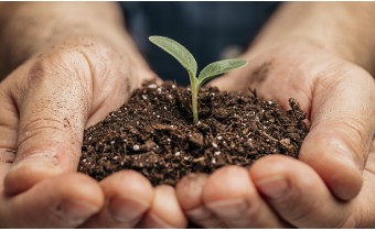 permaculture biologique 